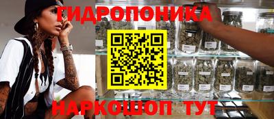 круглые Бийск