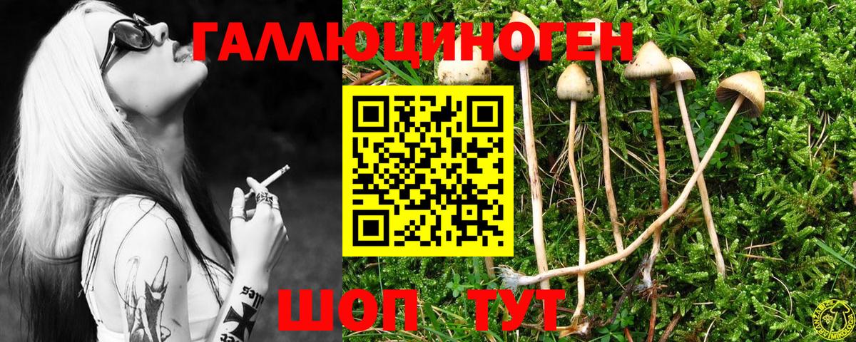 Галлюциногенные грибы мицелий  Вход с VPN  Каспийск 